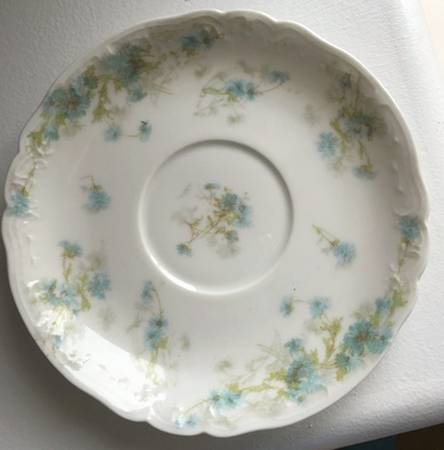 Schleiger 262d Saucer
