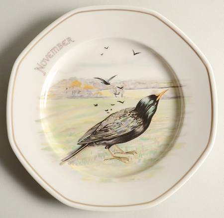 The Country Diary of An Edwardian Lady Salad Plate