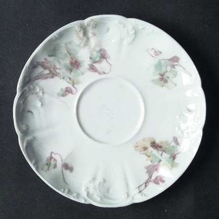 Schleiger 54 Saucer