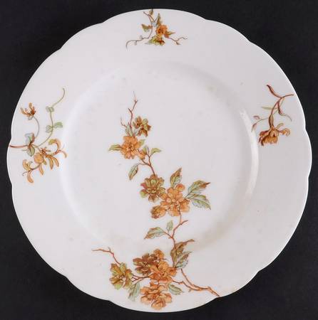 Schleiger 1154f by Haviland