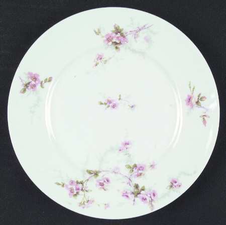 Schleiger 141-5 by Haviland