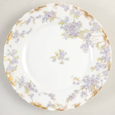 Schleiger 263 by Haviland