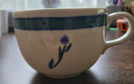 Blueberry (Green & Blue Bands) Jumbo Cup