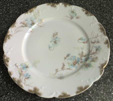 Schleiger 54-8 by Haviland