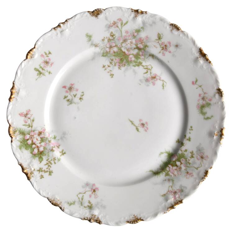 Schleiger 146G by Haviland