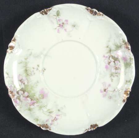Schleiger 146G Saucer