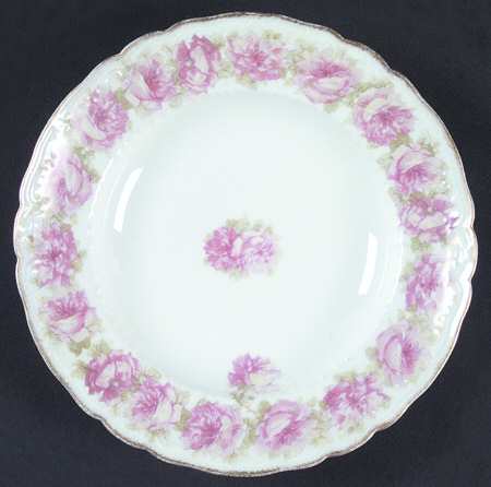 Schleiger 55-13 by Haviland