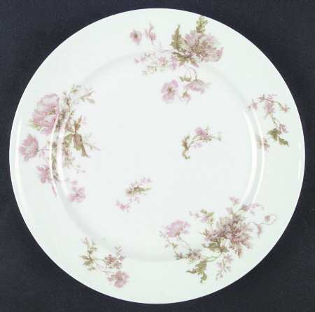 Schleiger 79a by Haviland