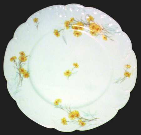 Schleiger 431-1 by Haviland