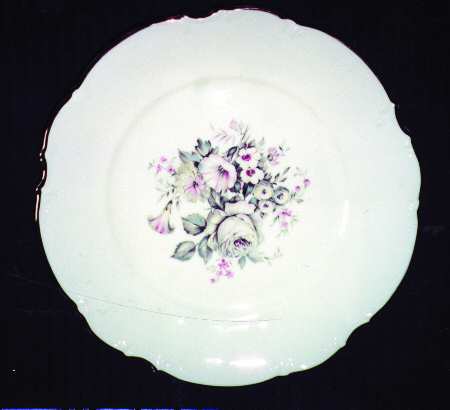 HUT754 Dinner Plate