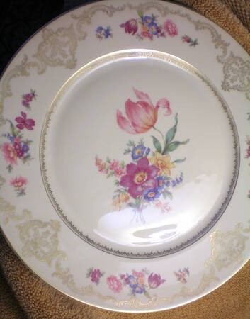 HC596 Dinner Plate