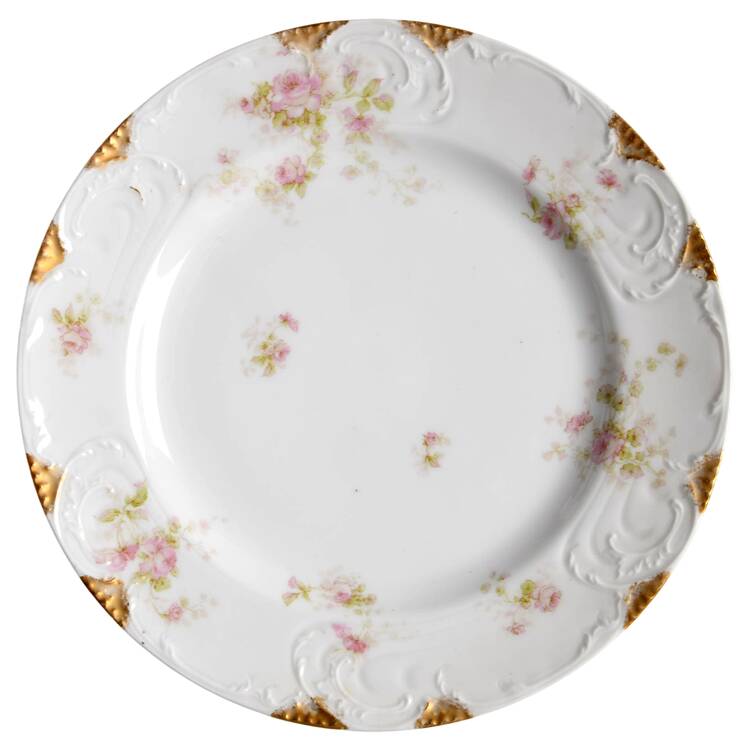 Schleiger 49D by Haviland