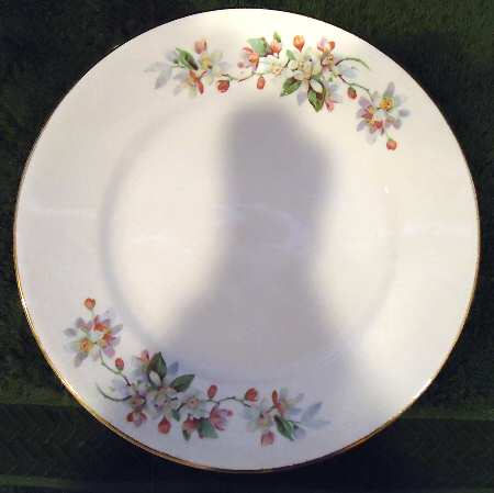 E7504b Salad Plate