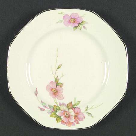 Wild Rose Platinum by Homer Laughlin 