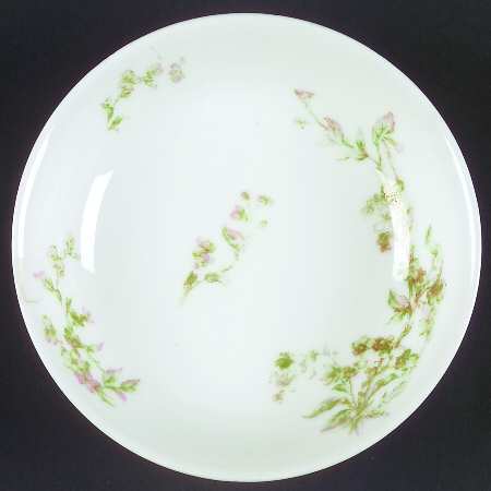 Schleiger 249C by Haviland