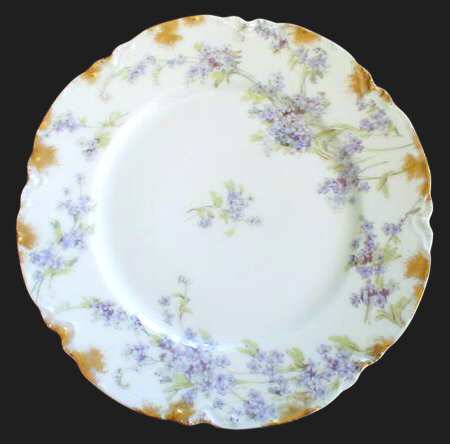 Schleiger 263a by Haviland