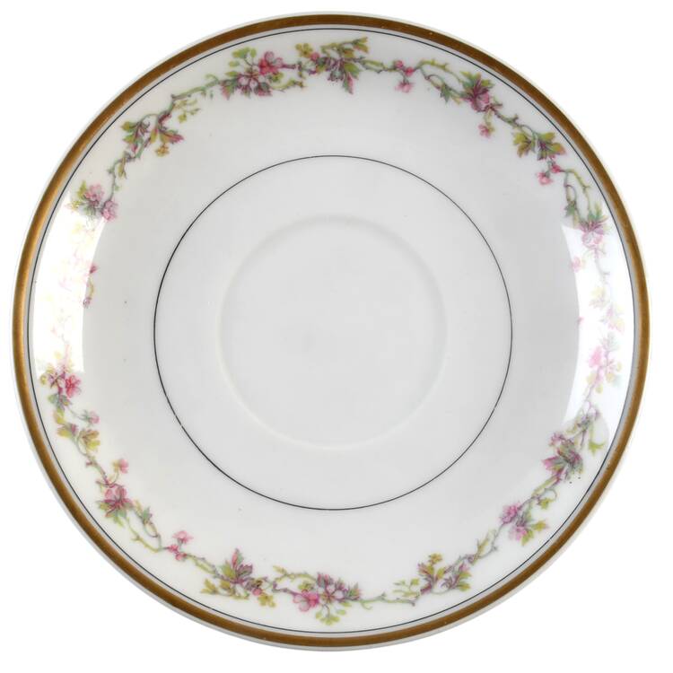 Schleiger 538a Saucer