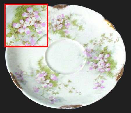 Schleiger 146f by Haviland