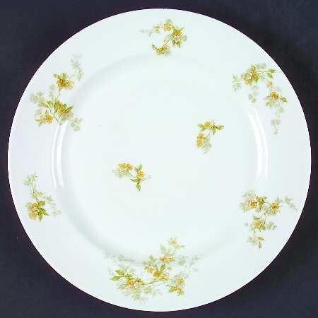 Schleiger 467c by Haviland
