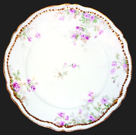 Schleiger 311 by Haviland