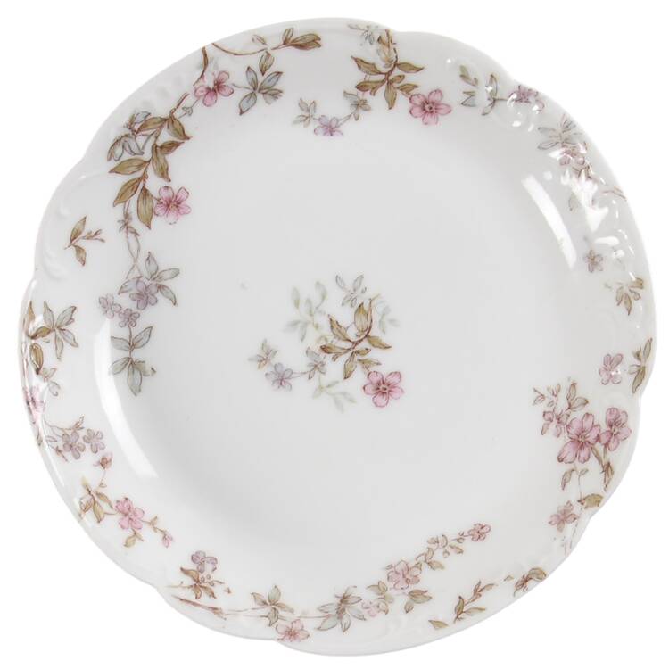 Schleiger 81A Saucer