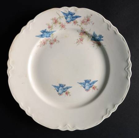W1726 Luncheon Plate