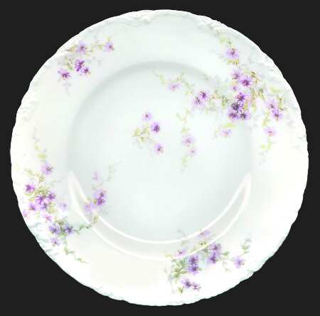 Schleiger 314-1 by Haviland