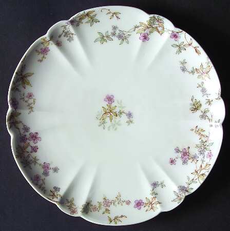 Schleiger 81d by Haviland