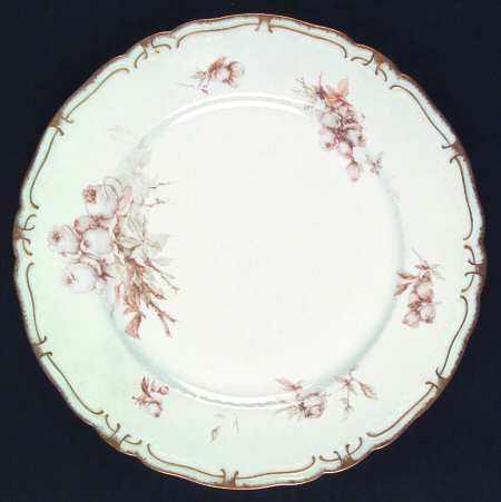 Schleiger 655d by Haviland