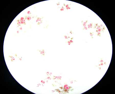 Schleiger 42t Dinner Plate