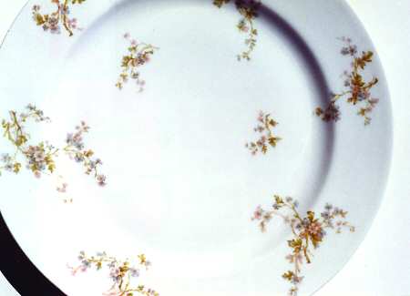 Schleiger 34c by Haviland