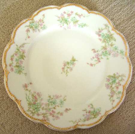 Schleiger 45d by Haviland