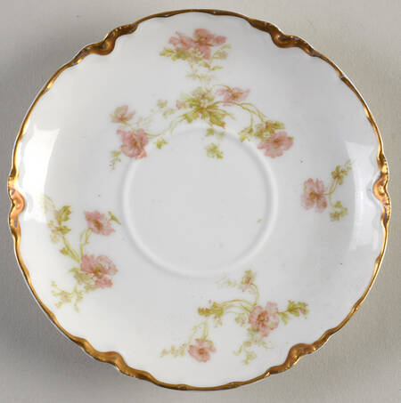 Schleiger 90d Saucer