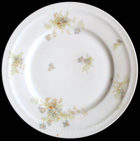 Schleiger 52a by Haviland