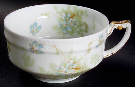 Schleiger 52a Flat Cup
