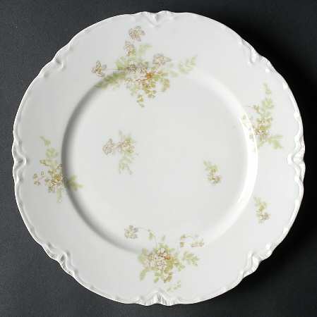Schleiger 52n by Haviland