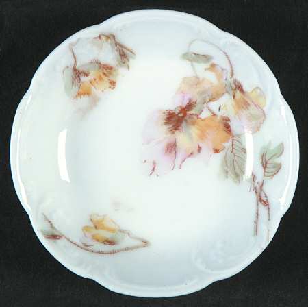 Schleiger 54B by Haviland
