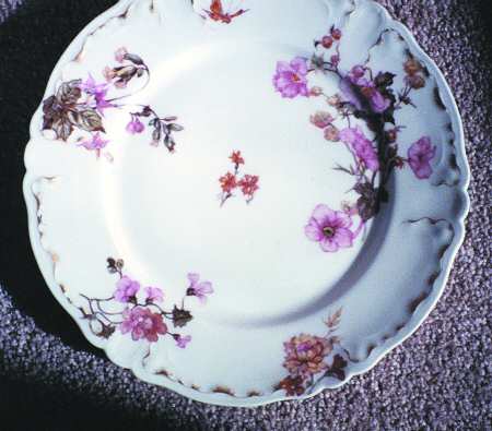 H1261 by Haviland