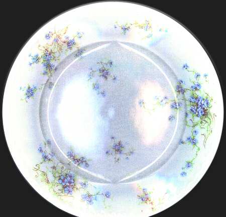 Schleiger 155-3 by Haviland