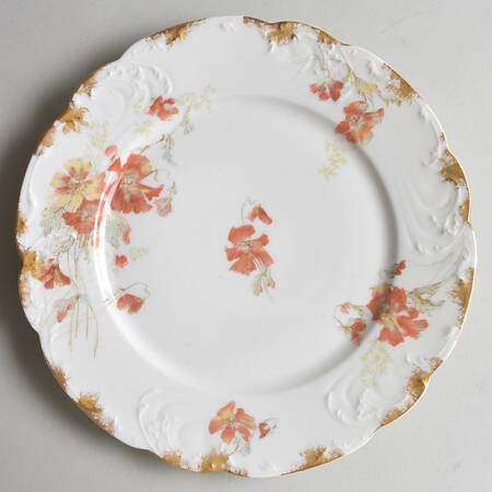 Schleiger 54S by Haviland