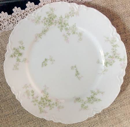 Schleiger 67i Dinner Plate