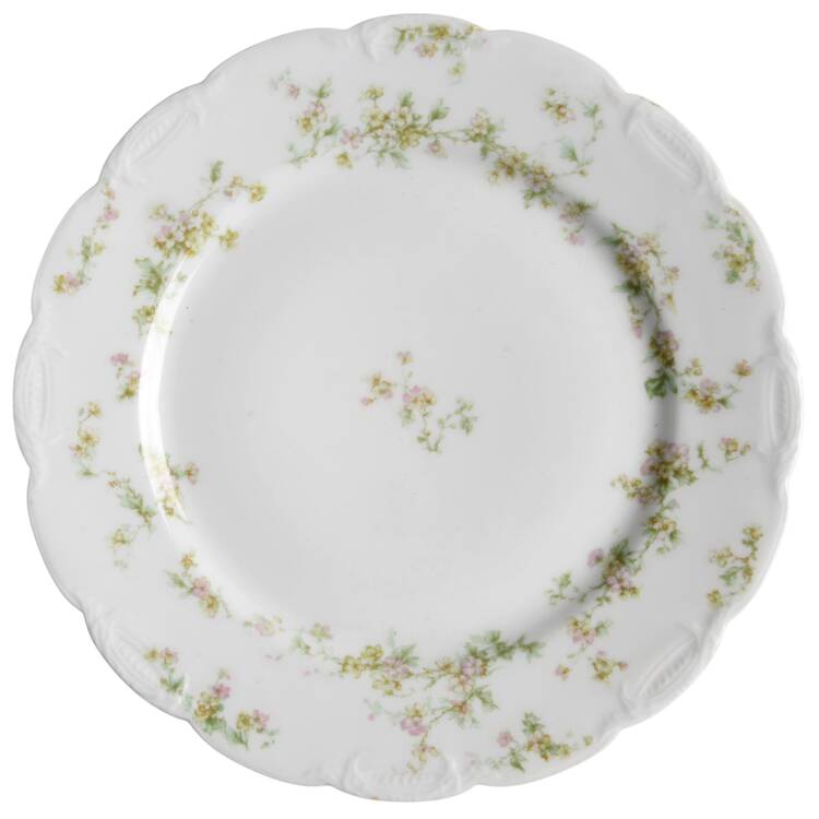 Schleiger 74B by Haviland