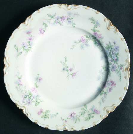 Schleiger 75j by Haviland