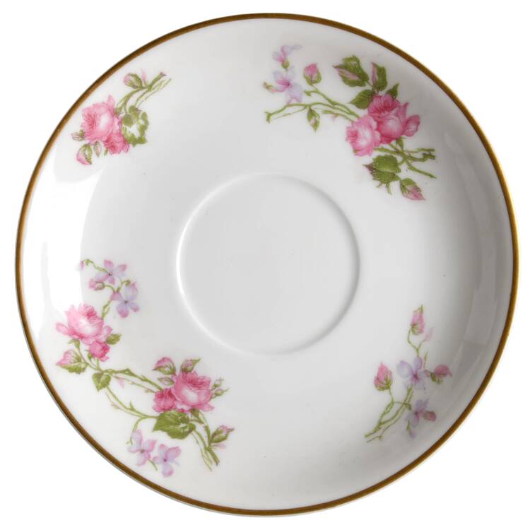 Schleiger 87A Saucer