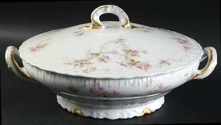 Schleiger 141c by Haviland