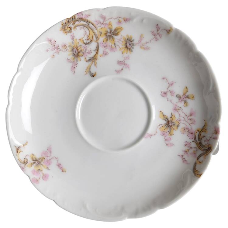 Schleiger 143d Saucer