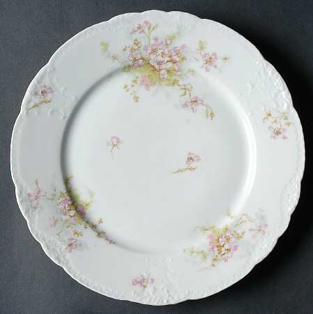 Schleiger 146u by Haviland