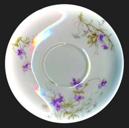 Schleiger 148f by Haviland