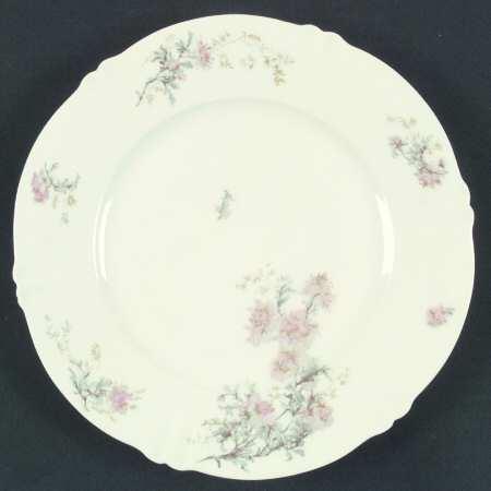 Schleiger 160 by Haviland