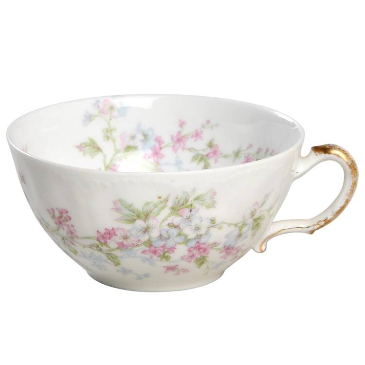 Schleiger 455i Flat Cup